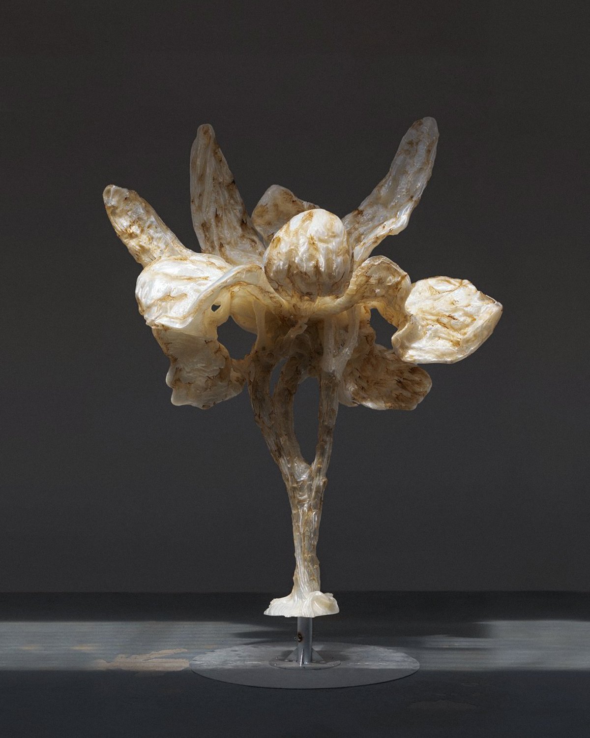 Ghost_Orchid_Marcin_Rusak_Studio_Thumbnail_01.jpg