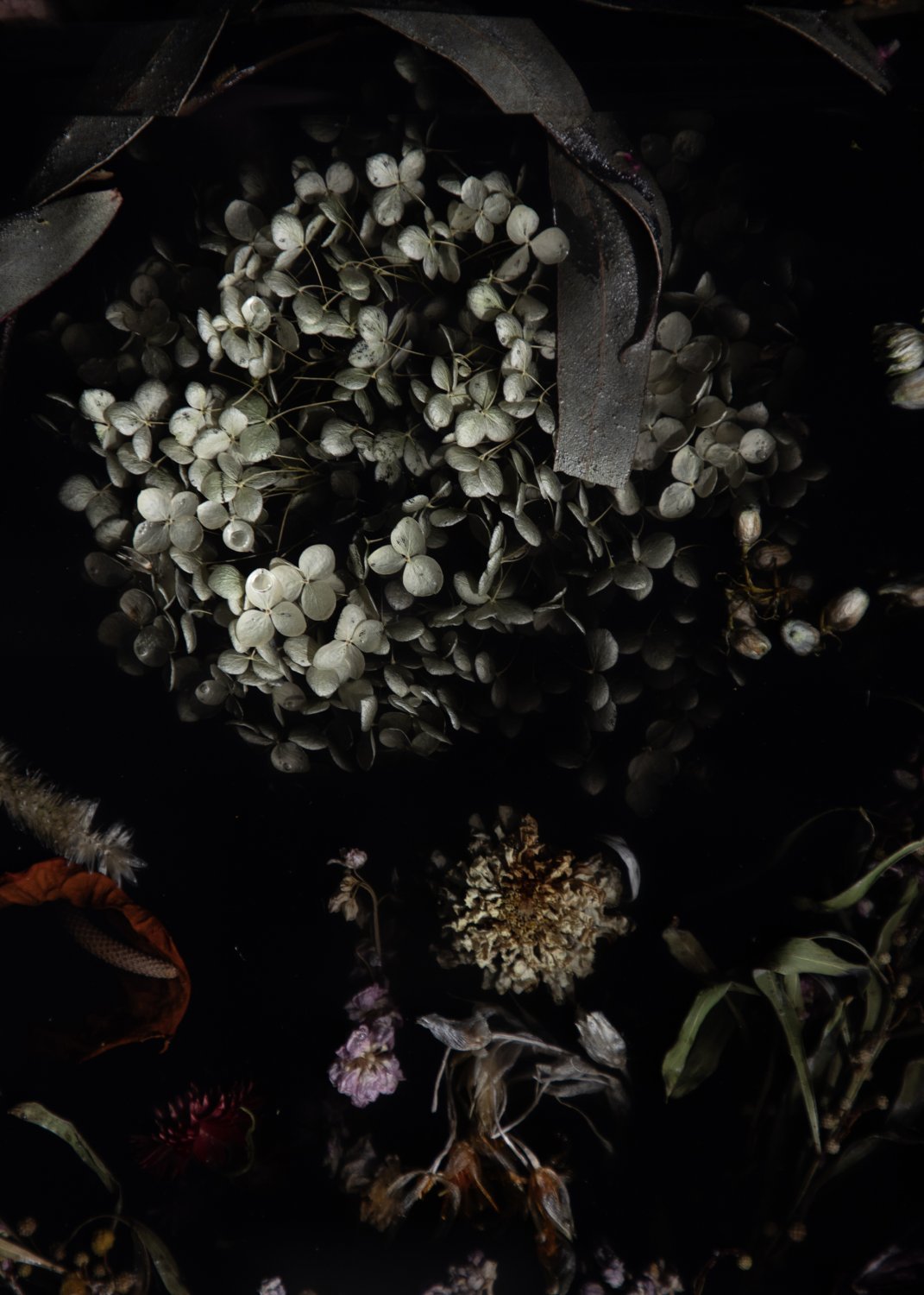 Marcin_Rusak_Studio_Flora_Credenza_200_005.jpg