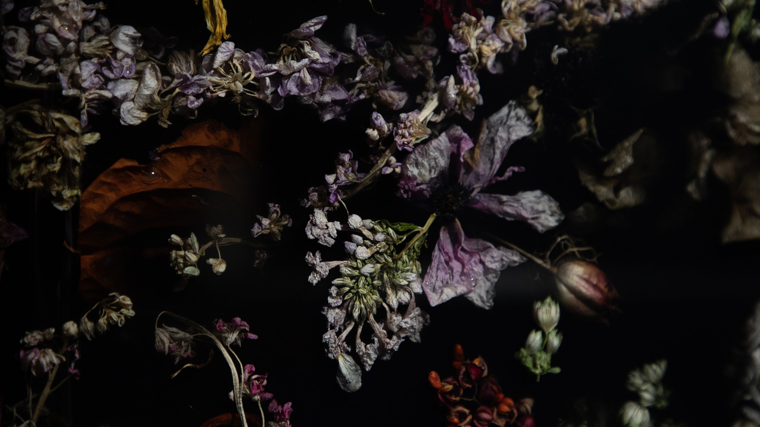 Marcin_Rusak_Studio_Flora_Credenza_200_007.jpg