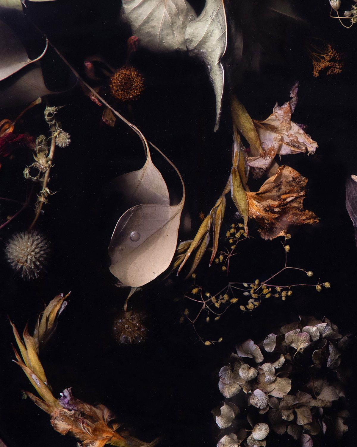 Marcin_Rusak_Studio_Flora_Lens_65_Black_FL2336_02.jpg