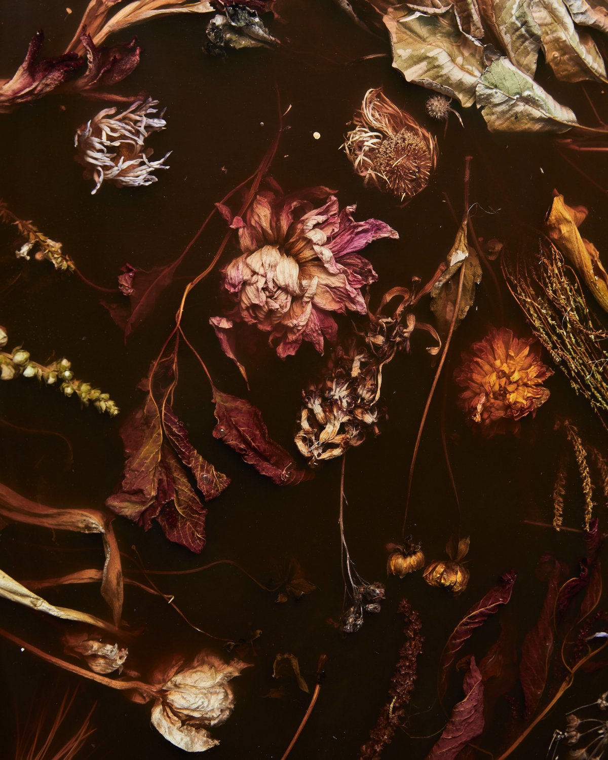 Marcin_Rusak_Studio_Flora_Lens_65_Rust_04.jpg