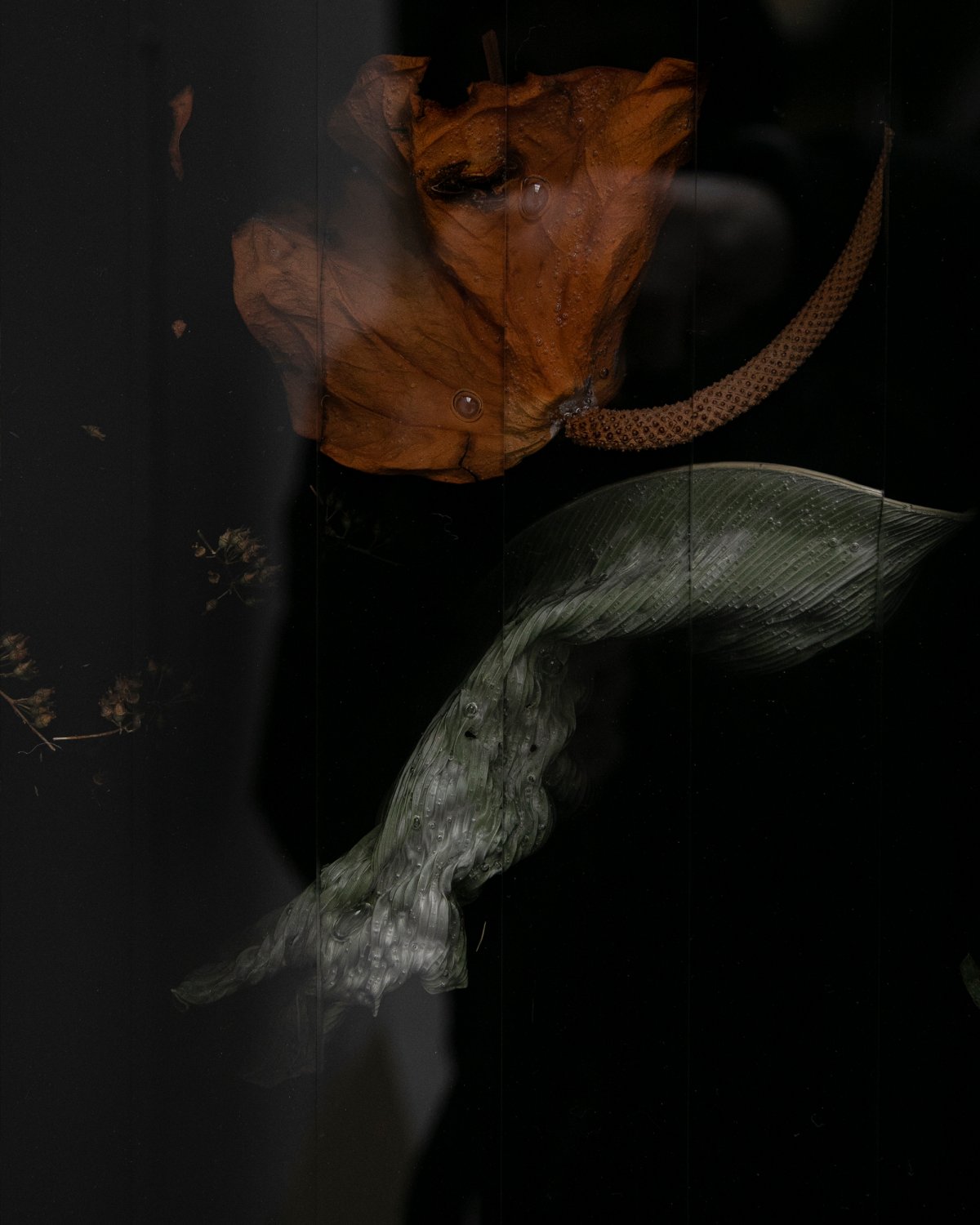 Marcin_Rusak_Studio_Flora_Monolith_190_006.jpg
