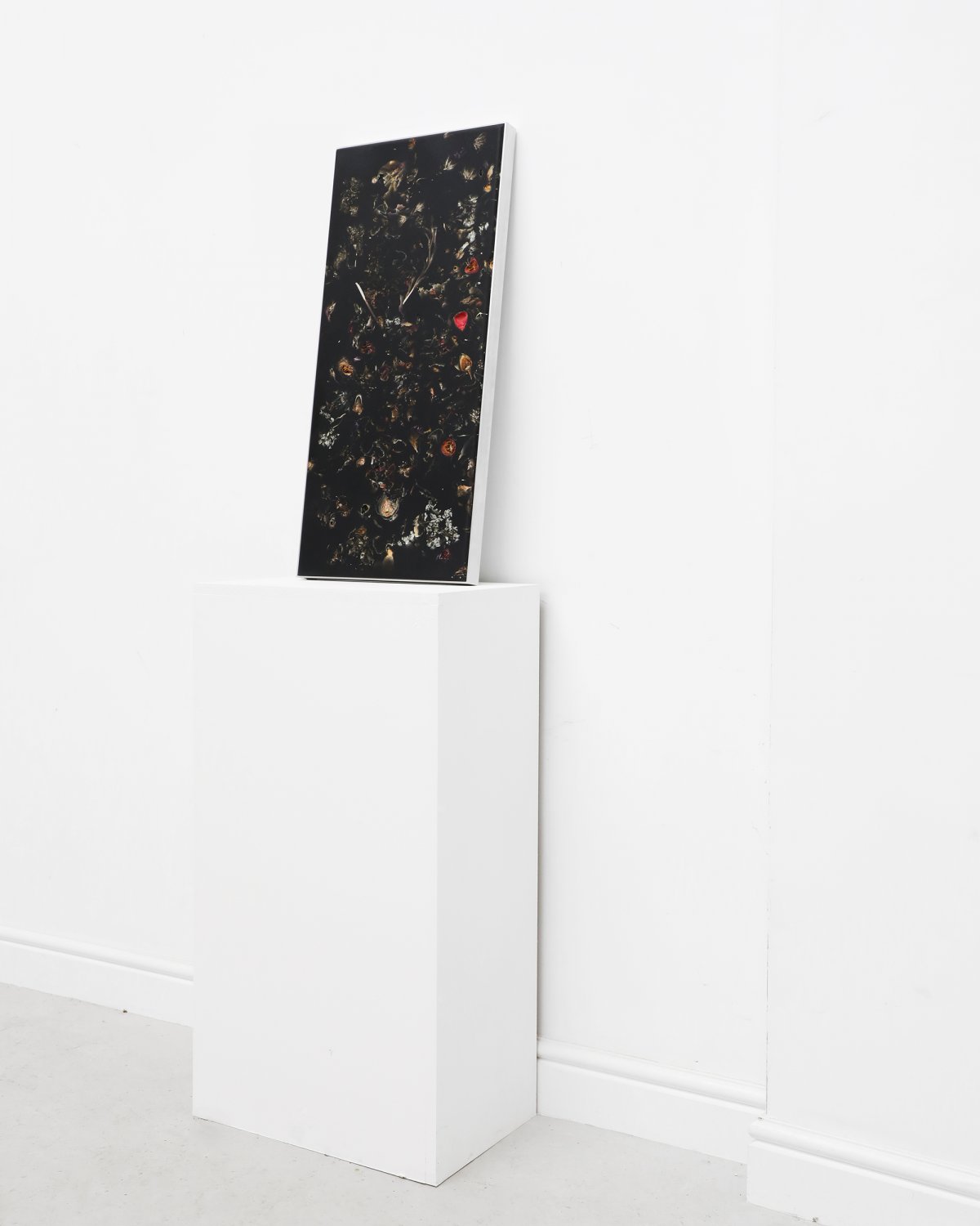 Marcin_Rusak_Studio_Perma_Wallhanging_90_03_Thumbnail.jpg