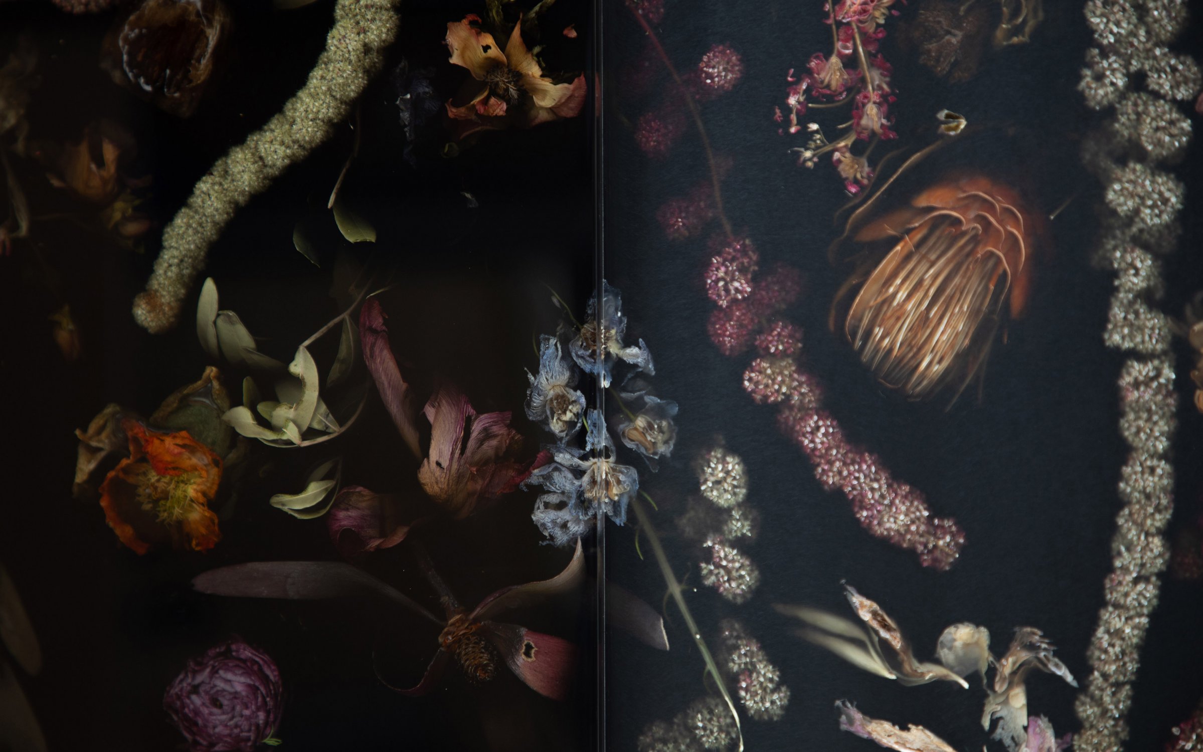 Marcin_Rusak_Studio_Wallhanging_Piece_80_FL2302_01.jpg