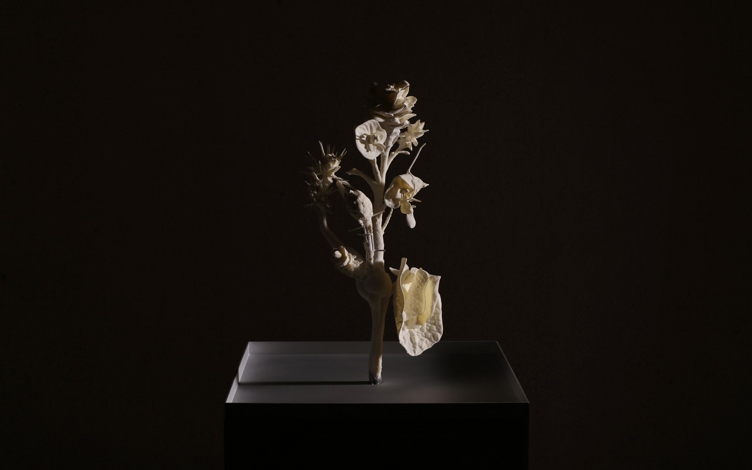 Monster_Flower_I_by_Marcin_Rusak_Studio_04.jpg