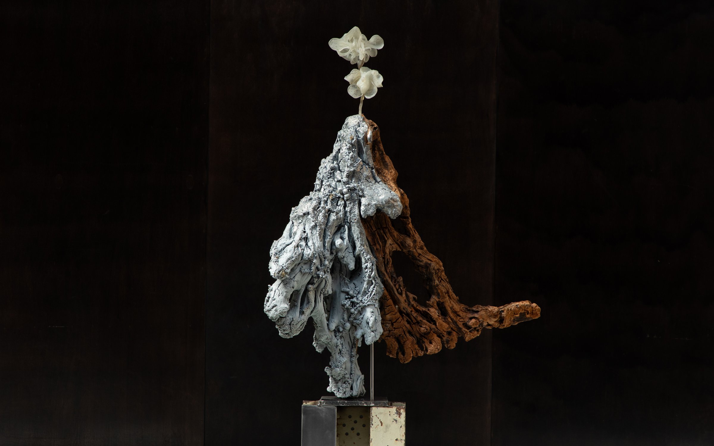 Orchid_01_Sculpture_by_Marcin_Rusak_Studio_04.jpg
