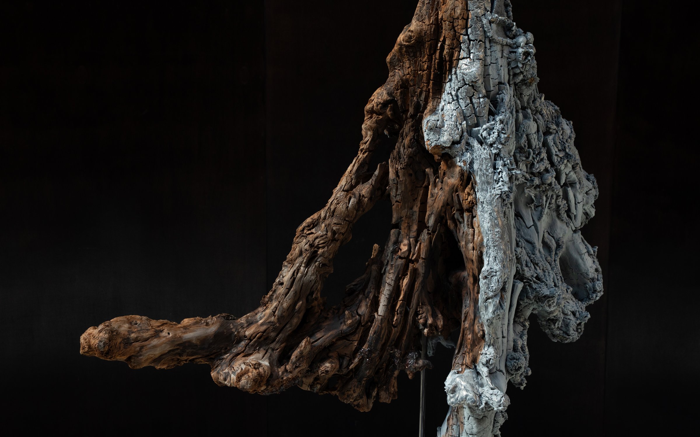 Orchid_01_Sculpture_by_Marcin_Rusak_Studio_05.jpg