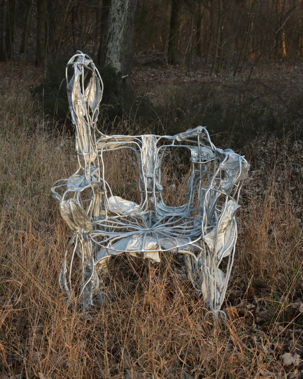 Protoplasting_Nature_06_Throne_by_Marcin_Rusak_Studio_03.jpg