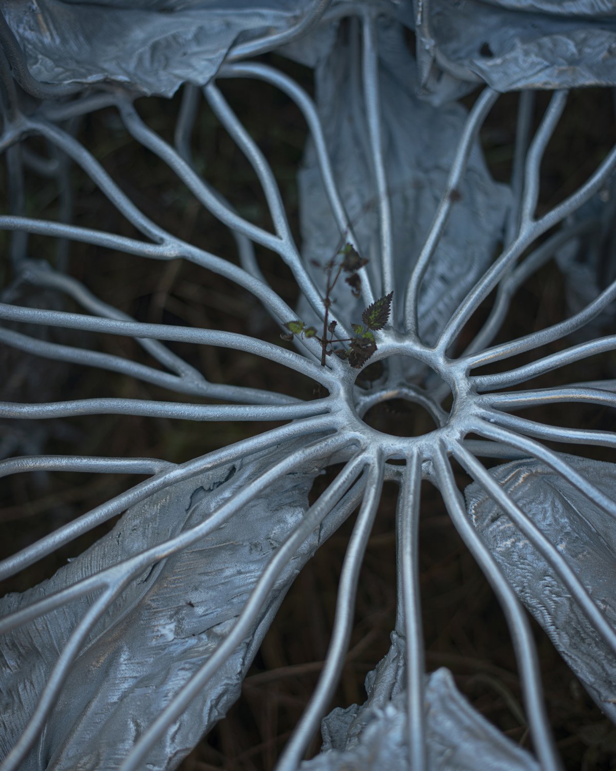 Protoplasting_Nature_06_Throne_by_Marcin_Rusak_Studio_09.jpg