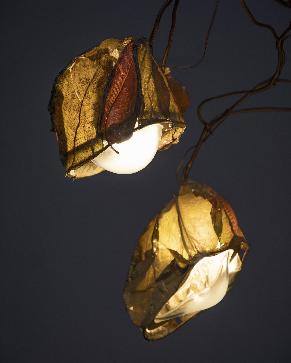 Protoplasting_Nature_10_Chandelier_by_Marcin_Rusak_Studio_04.jpg