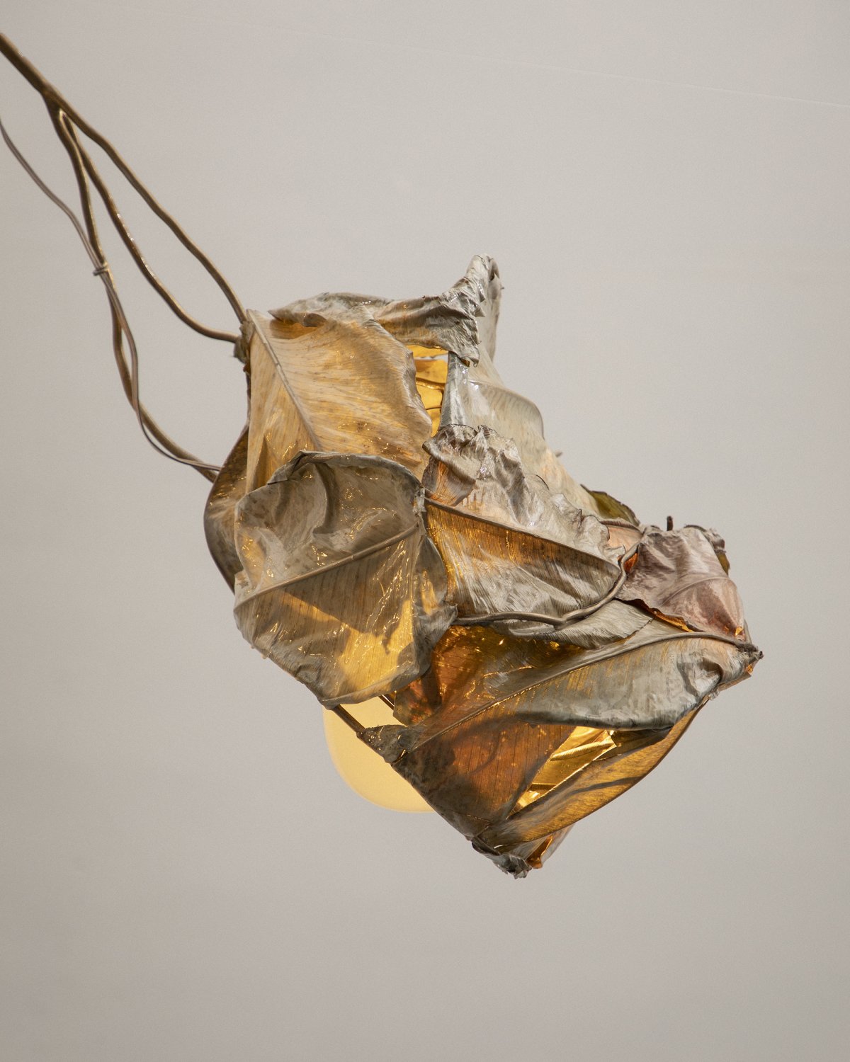 Protoplasting_Nature_10_Chandelier_by_Marcin_Rusak_Studio_05.jpg
