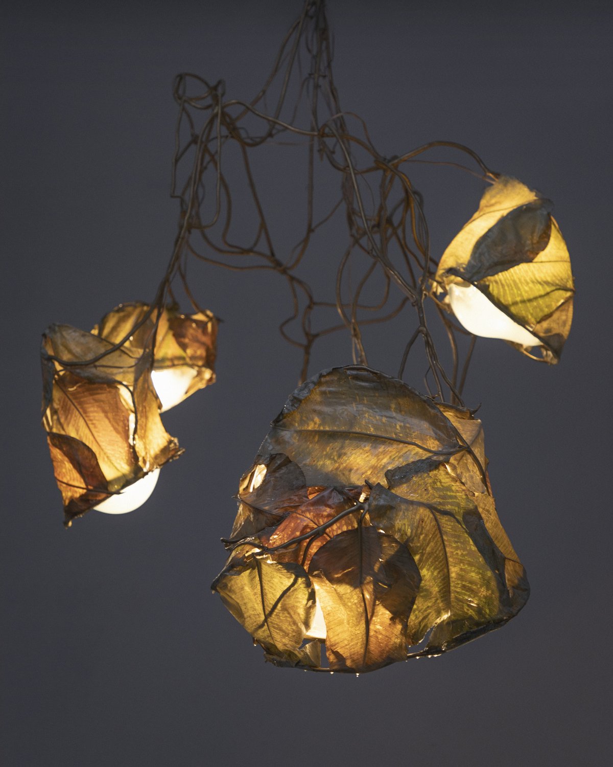 Protoplasting_Nature_10_Chandelier_by_Marcin_Rusak_Studio_06.jpg