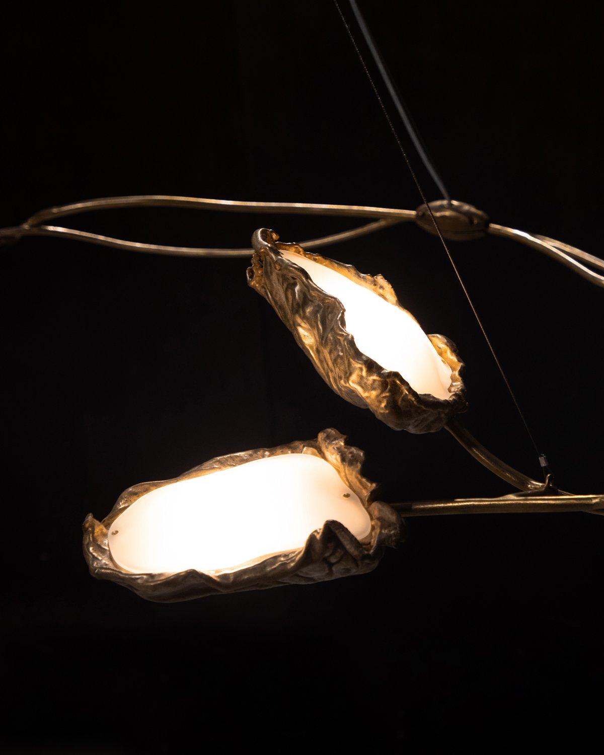 Protoplasting_Nature_Chandelier_145_by_Marcin_Rusak_Studio_05.jpg