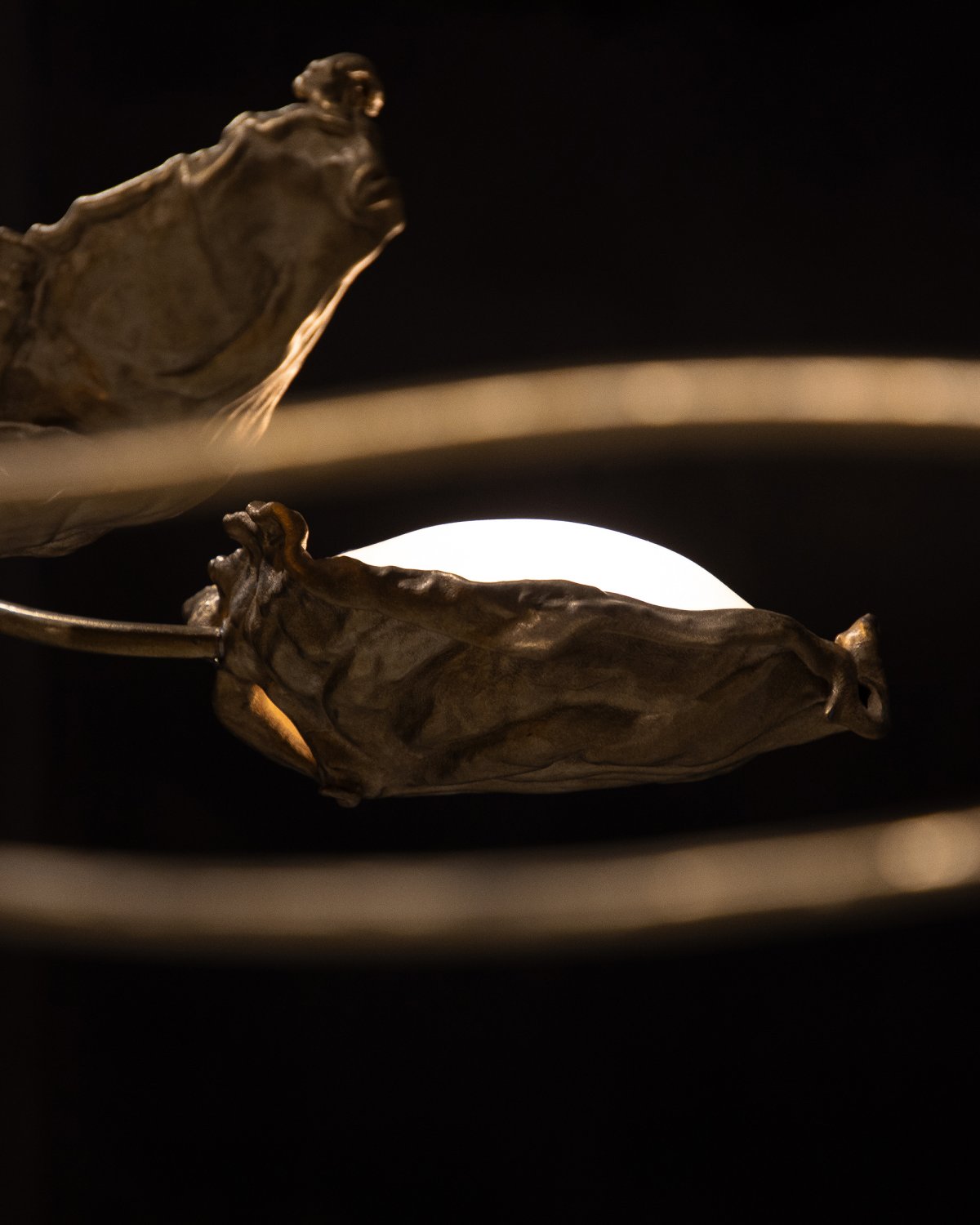 Protoplasting_Nature_Chandelier_145_by_Marcin_Rusak_Studio_06.jpg