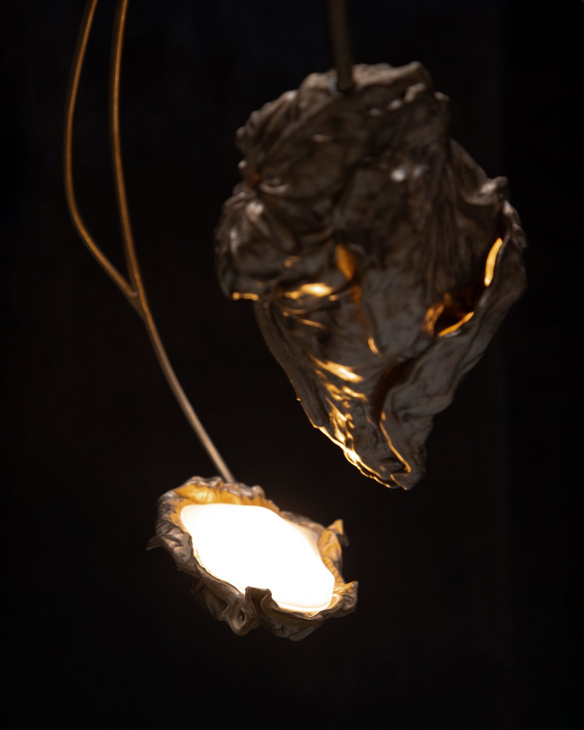 Protoplasting_Nature_Chandelier_85_by_Marcin_Rusak_Studio_03.jpg