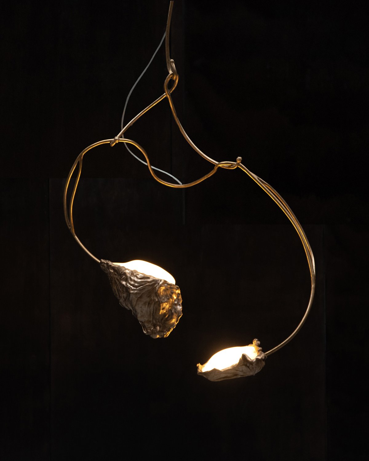 Protoplasting_Nature_Chandelier_85_by_Marcin_Rusak_Studio_04.jpg