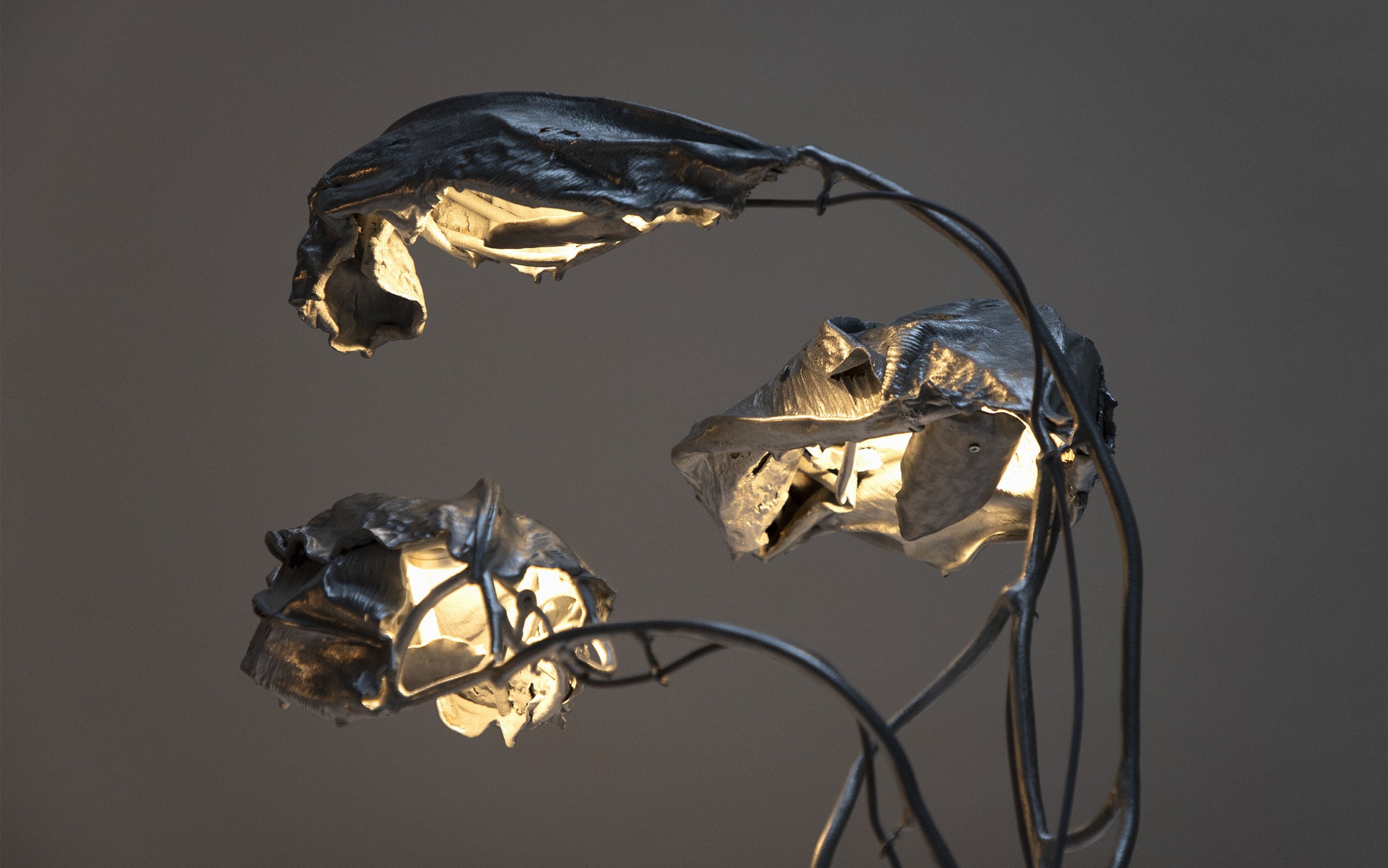 Protoplasting_Nature_Encoded_Symbols_04_by_Marcin_Rusak_Studio_02.jpg