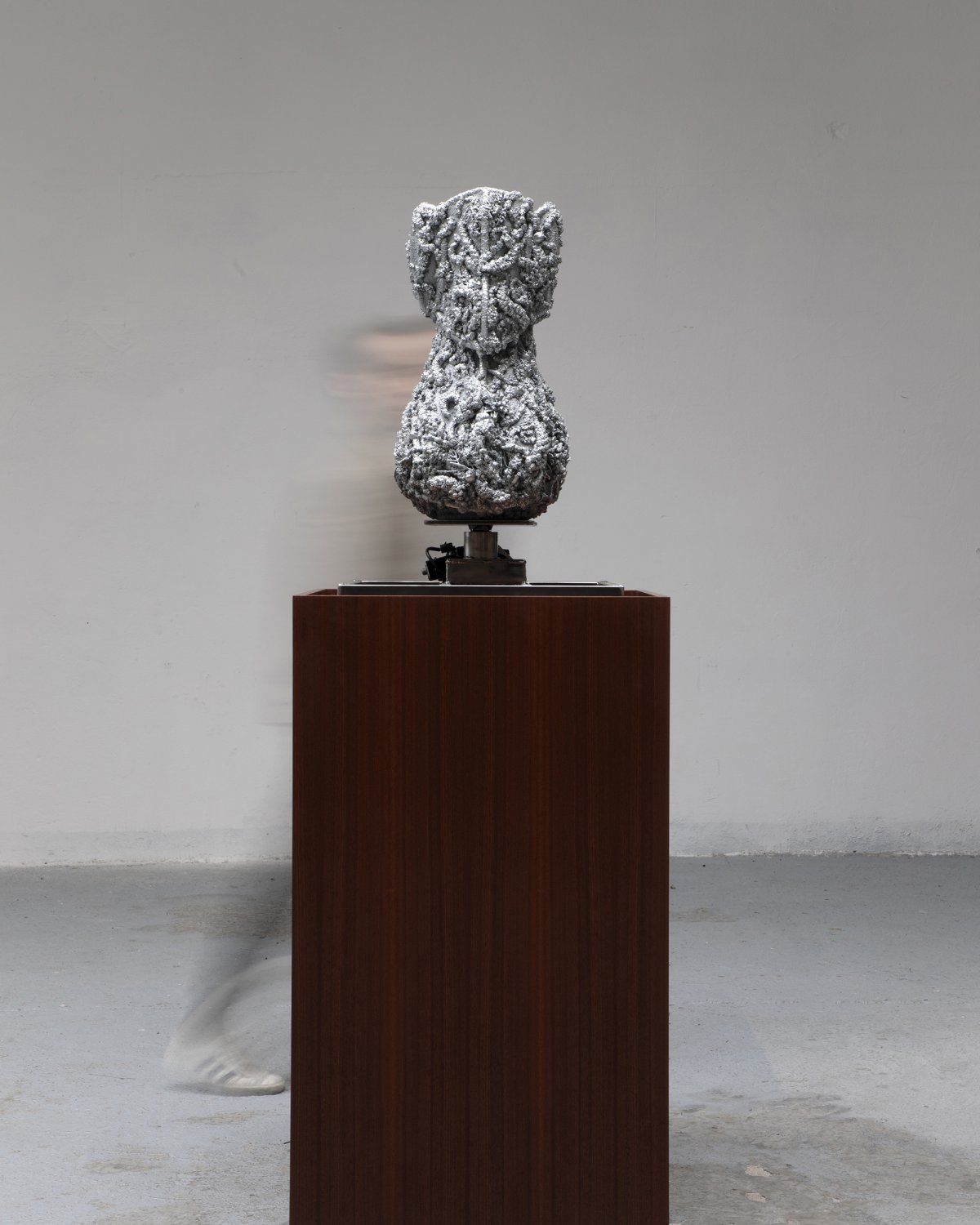 Tephra_Vase_007_Liparis_Loeselii_by_Marcin_Rusak_Studio_05.jpg