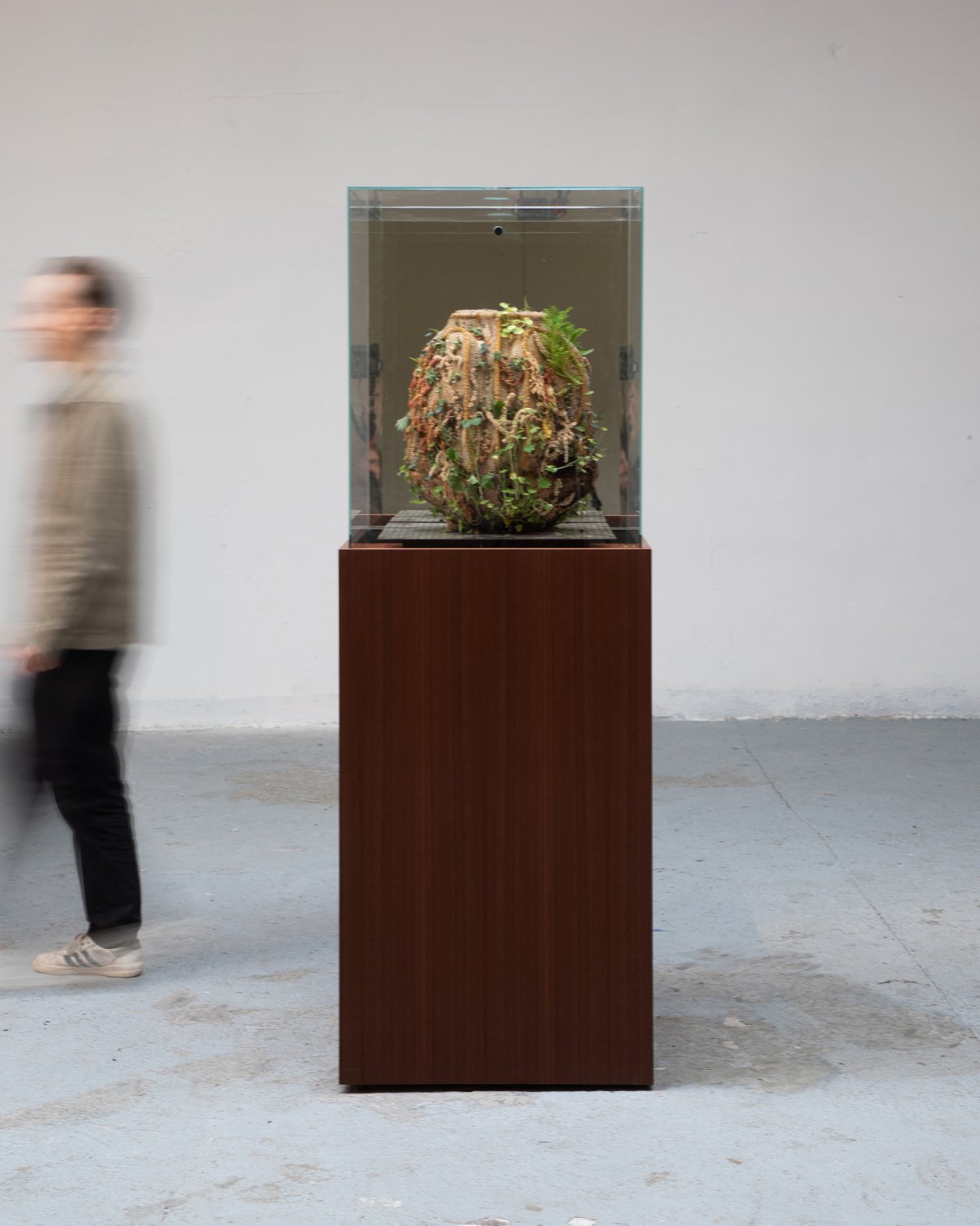 Tephra_Vase_Raw_Incubator_by_Marcin_Rusak_Studio_02.jpg