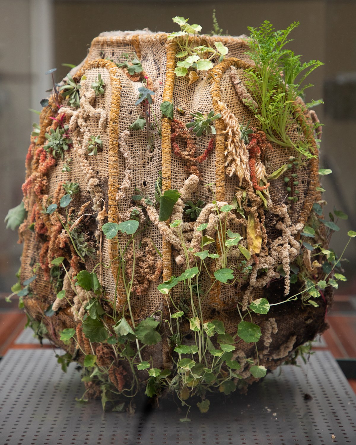 Tephra_Vase_Raw_Incubator_by_Marcin_Rusak_Studio_03.jpg