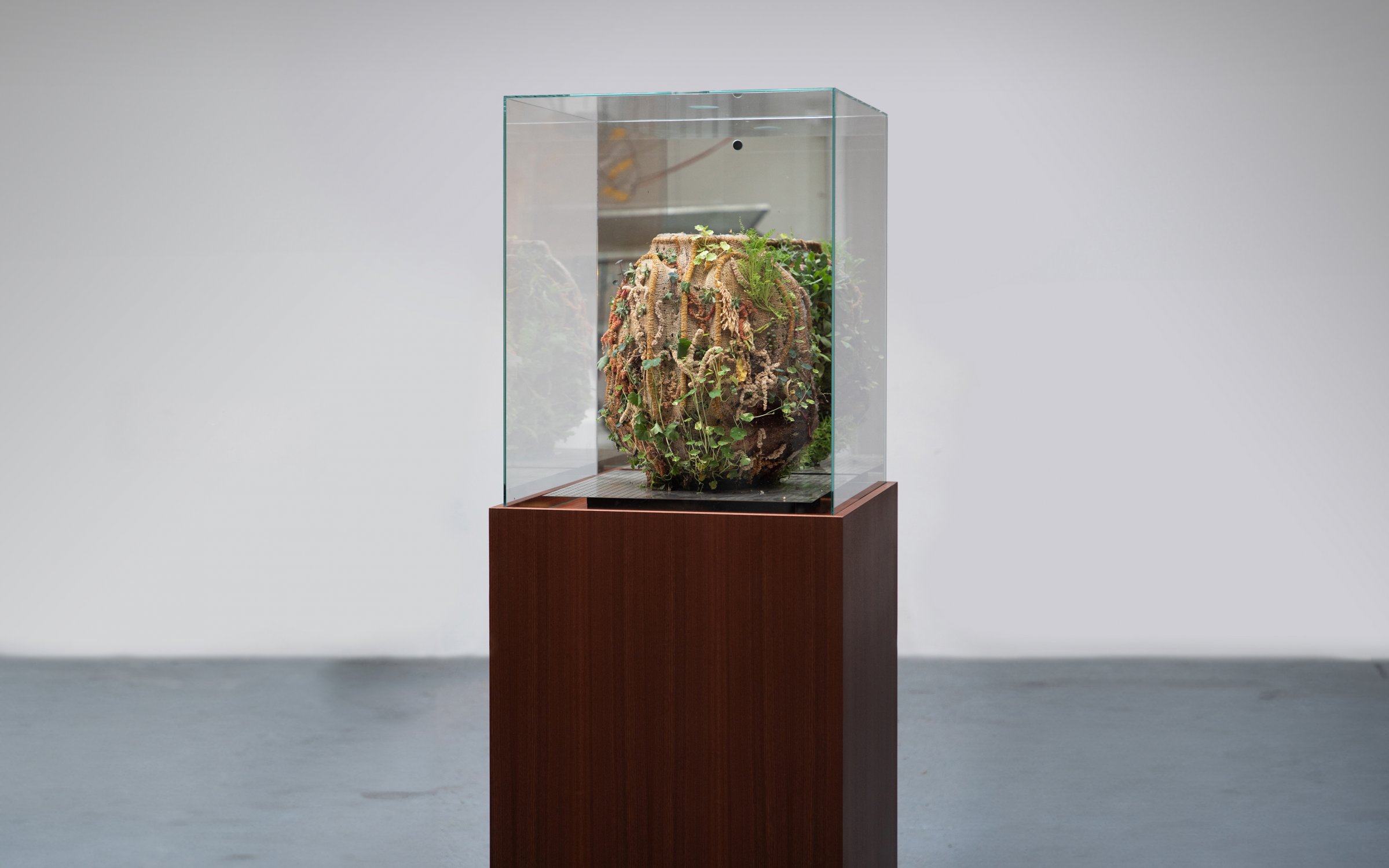 Tephra_Vase_Raw_Incubator_by_Marcin_Rusak_Studio_04.jpg