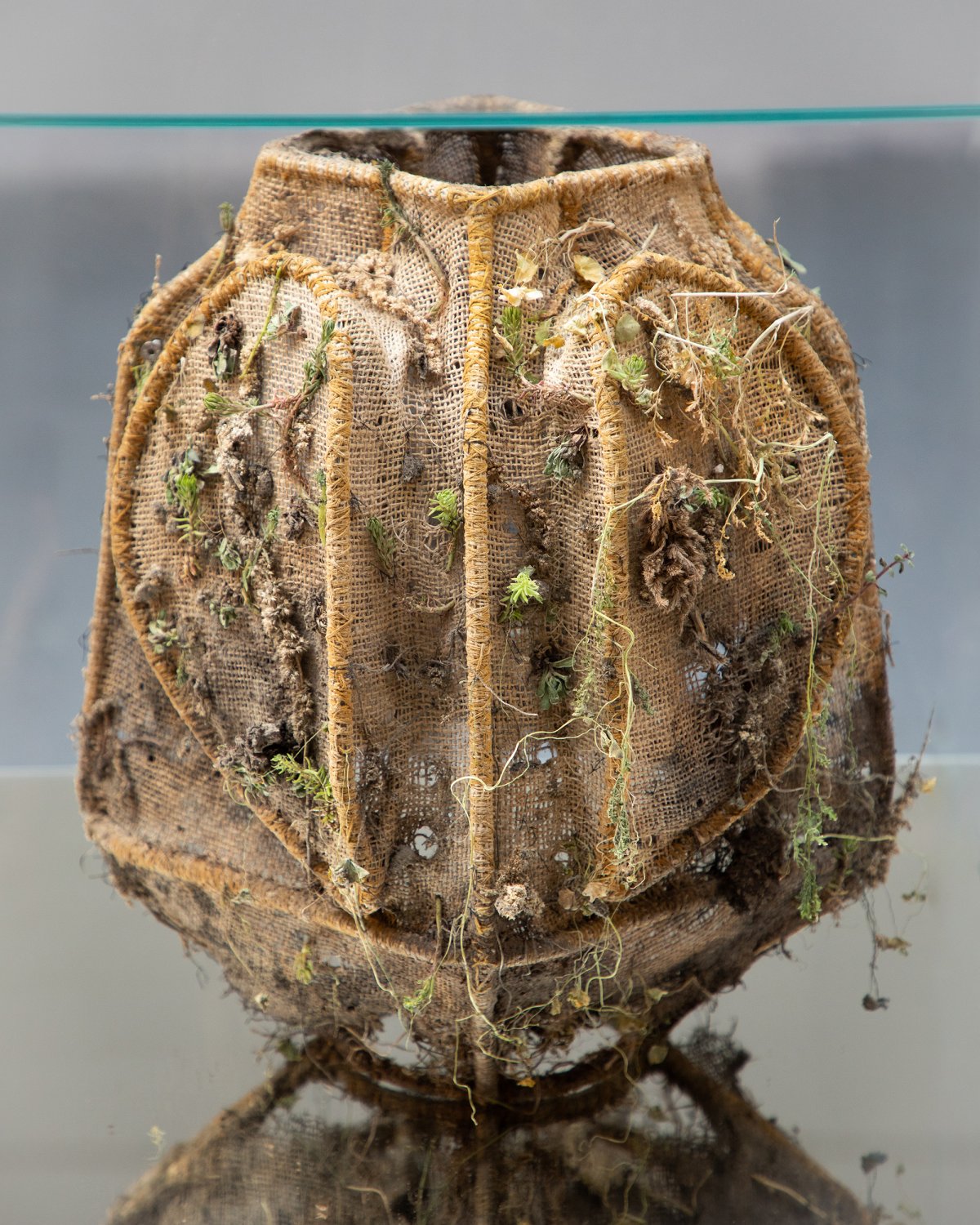 Tephra_Vase_Raw_Incubator_by_Marcin_Rusak_Studio_05.jpg