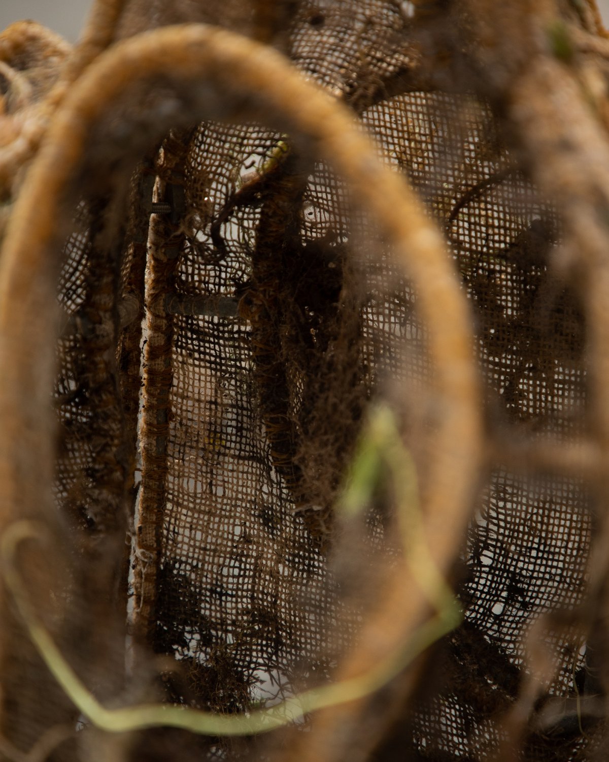 Tephra_Vase_Raw_Incubator_by_Marcin_Rusak_Studio_06.jpg