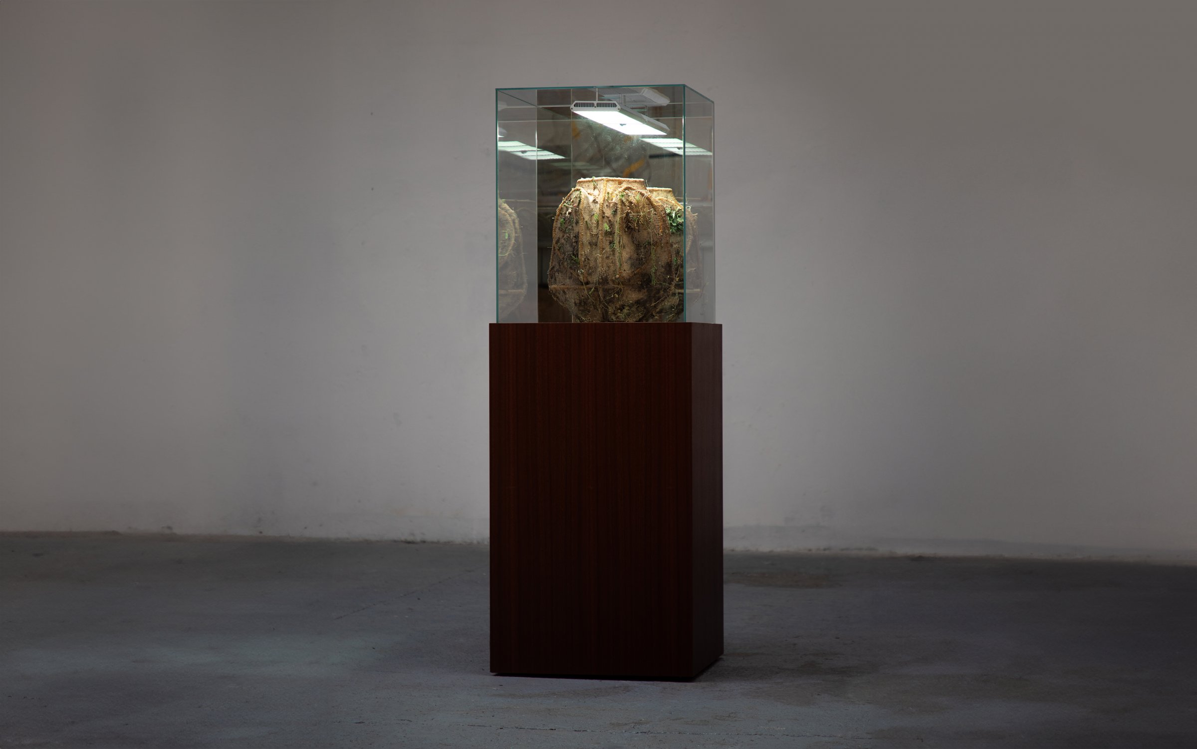 Tephra_Vase_Raw_Incubator_by_Marcin_Rusak_Studio_07.jpg