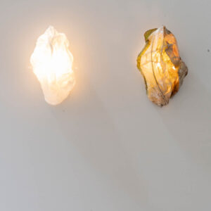 Protoplasting Nature Sconce